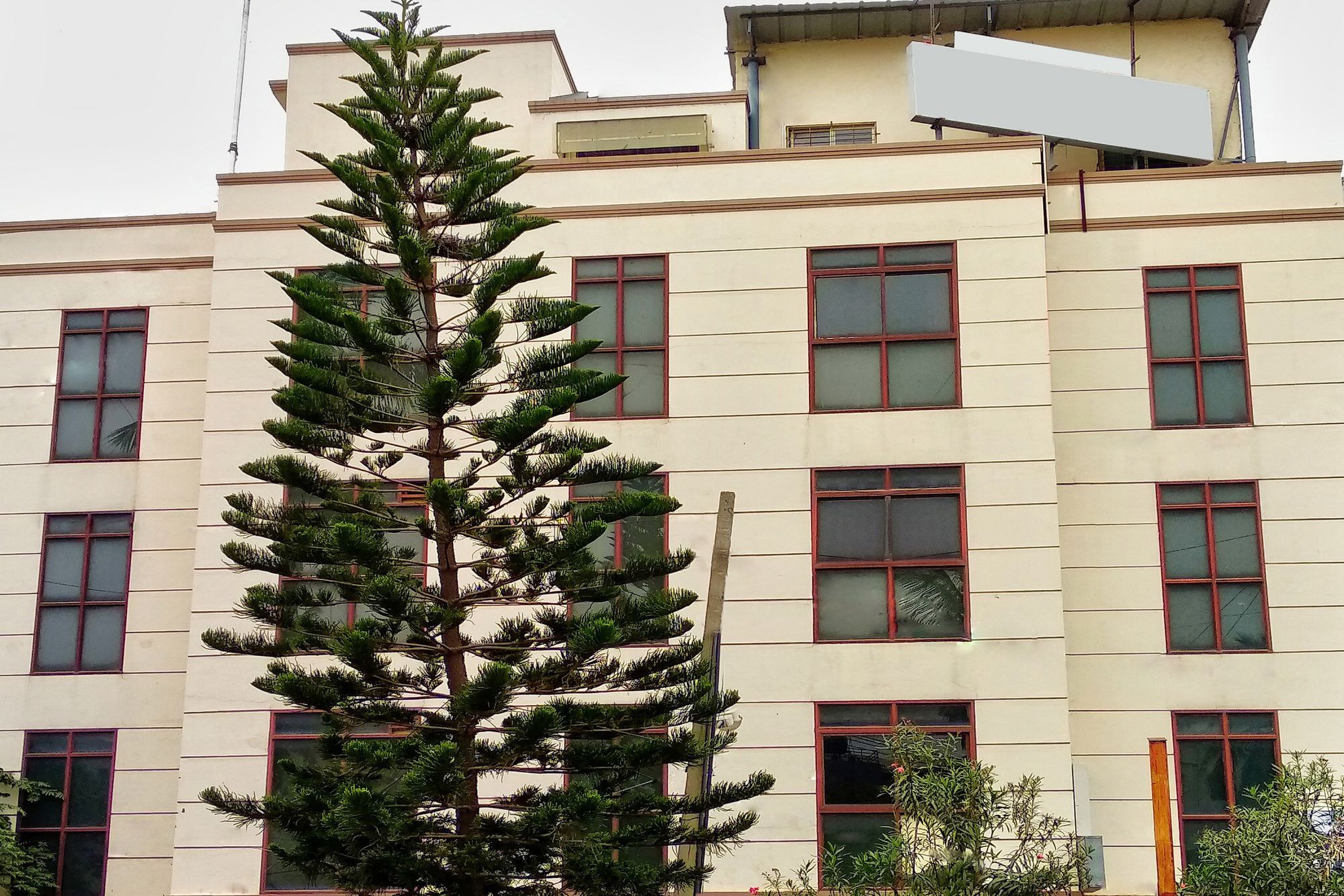Oyo 539 Hotel Pearl Inn Бангалор Екстериор снимка